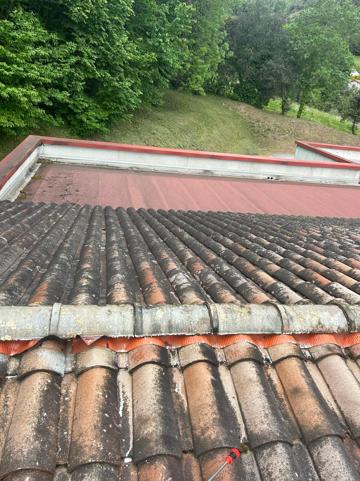 Toiture en tuiles canal moussue en contrebas d'une toiture terrasse